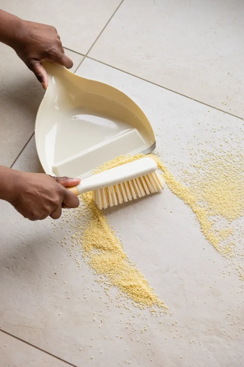 Set de recogedor Daily Sweep